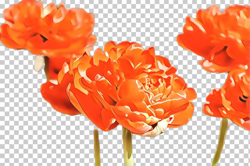 Artificial Flower PNG, Clipart, Artificial Flower, Carnation, Cut Flowers, Flower, Orange Free PNG Download