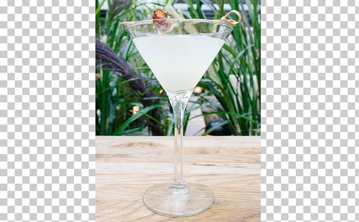 Cocktail Garnish Martini Gin Vodka PNG, Clipart, Bitters, Champagne Glass, Champagne Stemware, Cocktail, Cocktail Garnish Free PNG Download