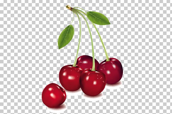 Cordial Barbados Cherry PNG, Clipart, Acero, Acerola Family, Barbados Cherry, Berry, B G Free PNG Download