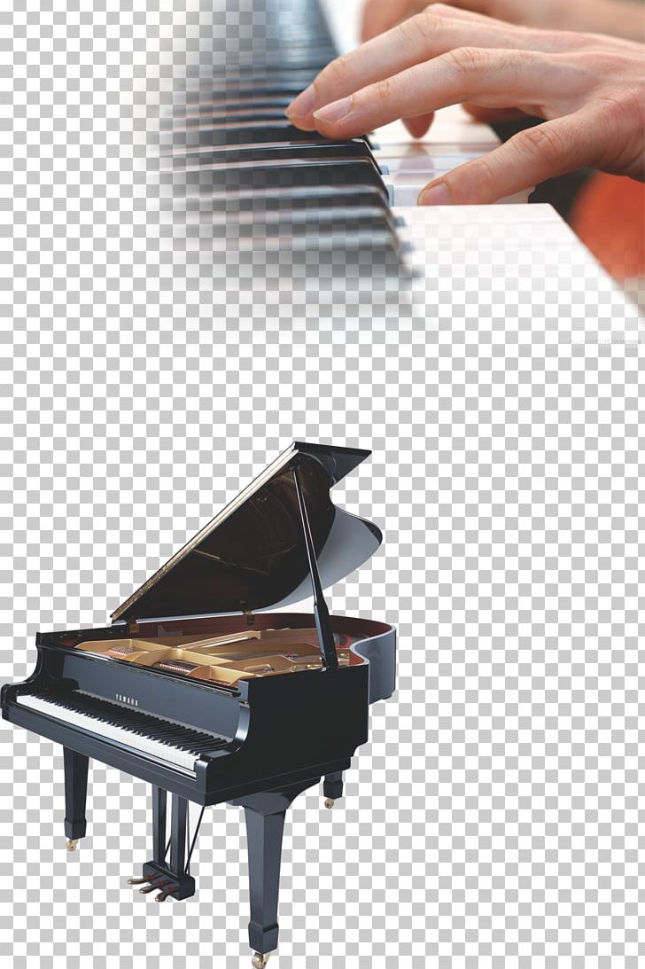 Grand Piano Musical Instrument PNG, Clipart, Arts, Arts Training, Composer, Digital Piano, Download Free PNG Download