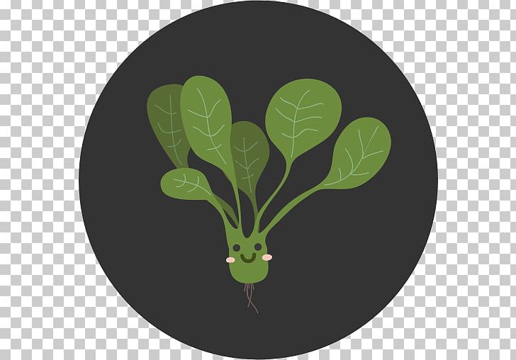 Spinach Computer Icons Vegetable PNG, Clipart, Branch, Computer Icons, Food Drinks, Grass, Green Free PNG Download