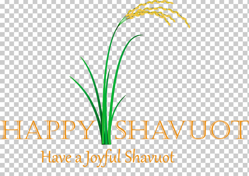 Happy Shavuot Shavuot Shovuos PNG, Clipart, Grass, Grass Family, Happy Shavuot, Leaf, Line Free PNG Download