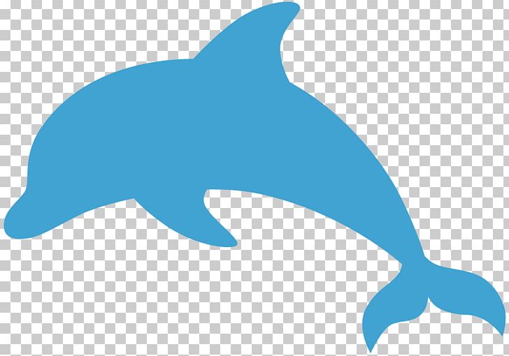 Common Bottlenose Dolphin Tucuxi Decal Rough-toothed Dolphin Sticker PNG, Clipart, Animals, Beak, Bumper Sticker, Clothing, Dolphin Free PNG Download