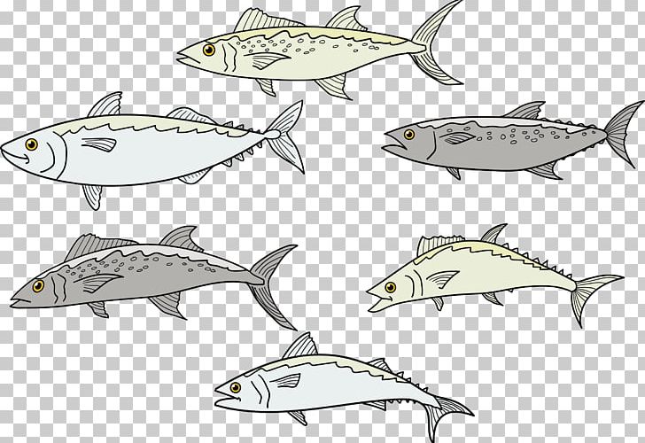 Sardine Fish Euclidean Drawing PNG, Clipart, Animal Figure, Animals, Aquarium Fish, Artwork, Fauna Free PNG Download