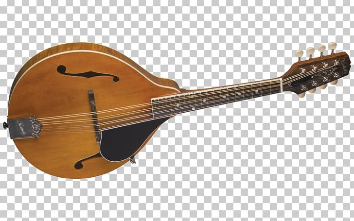 Ukulele Mandolin Musical Instruments String Instruments Guitar PNG, Clipart, Acoustic Electric Guitar, Cuatro, Guitar Accessory, Lute, Music Free PNG Download