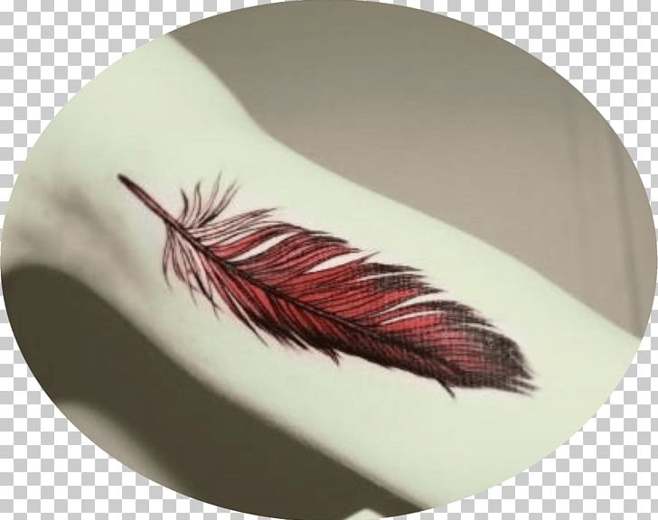Feather Tadashi Tattoo Bird Color PNG, Clipart, Animals, Art, Beauty, Bird, Color Free PNG Download