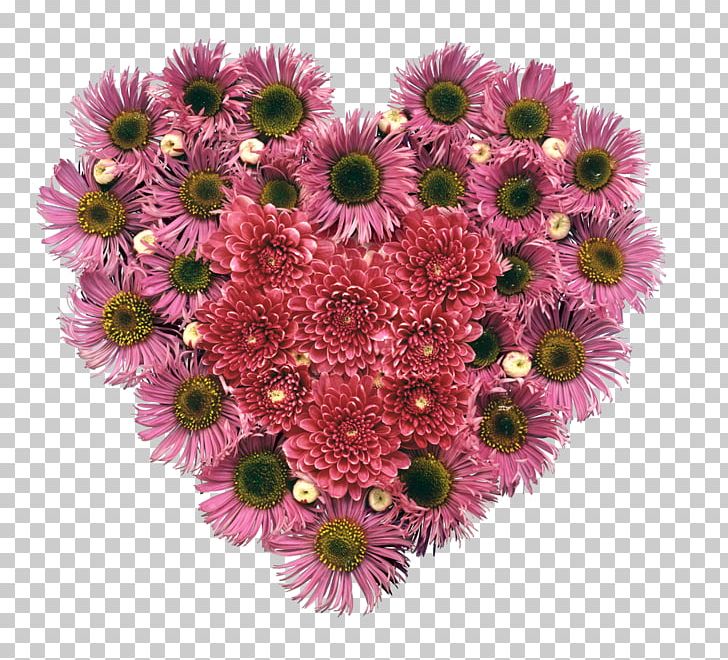 Flower Desktop Heart PNG, Clipart, Annual Plant, Aster, Chrysanthemum, Chrysanths, Cut Flowers Free PNG Download