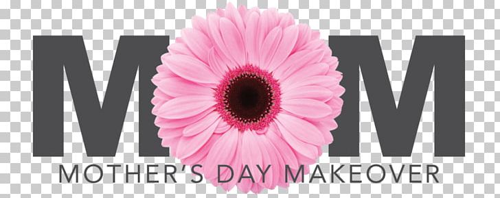 Mother's Day Makeover Transvaal Daisy Gift PNG, Clipart,  Free PNG Download