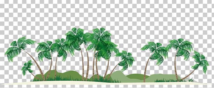 Ko Mak Phuket Province Ko Chang District Island Lodge Fest Shop PNG, Clipart, Coconut, Coconut Vector, Cycling, Fruit Nut, Grass Free PNG Download