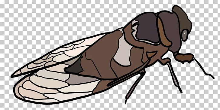 Insect True Bugs Line Art Cartoon PNG, Clipart, Animals, Arthropod, Artwork, Cartoon, Cicada Free PNG Download