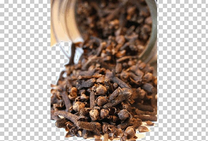 Oil Of Clove Spice Herb Medicinal Plants PNG, Clipart, Allspice, Carrier Oil, Cinnamon, Clavo, Clove Free PNG Download