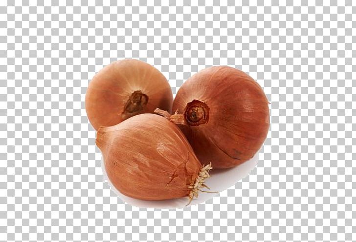Yellow Onion Shallot PNG, Clipart, Adobe Illustrator, Artworks, Download, Food, Ingredient Free PNG Download