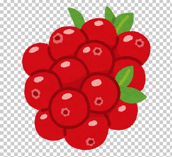 Lingonberry Cranberry いらすとや Tomoni PNG, Clipart, Animal, Auglis, Berry, Cherry, Child Free PNG Download