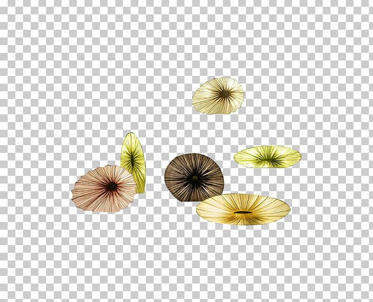 Paper Flower Google S PNG, Clipart, Brown, Clothing, Color, Colorful Background, Coloring Free PNG Download