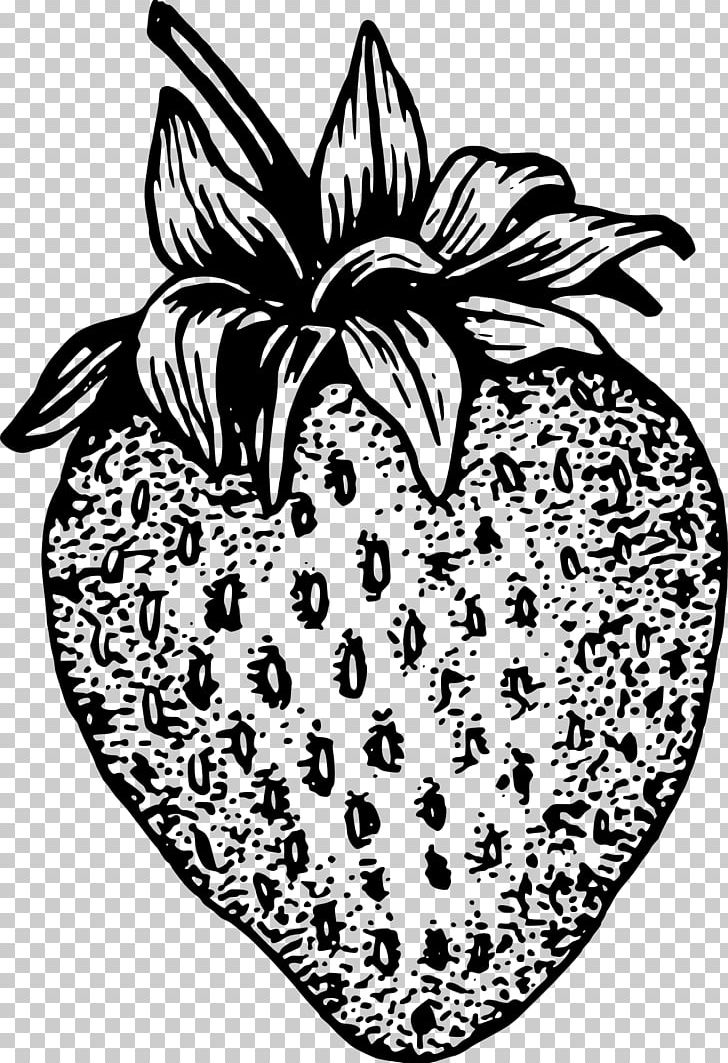 Strawberry Fruit PNG, Clipart, Art, Artwork, Black And White, Download, Drawing Free PNG Download