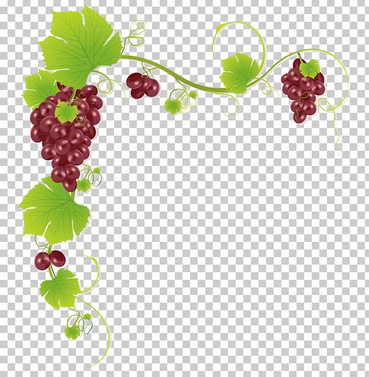 Common Grape Vine Wine Juice Muscadine Grape PNG, Clipart, Border Frame, Branch, Christmas Frame, Food, Frame Free PNG Download