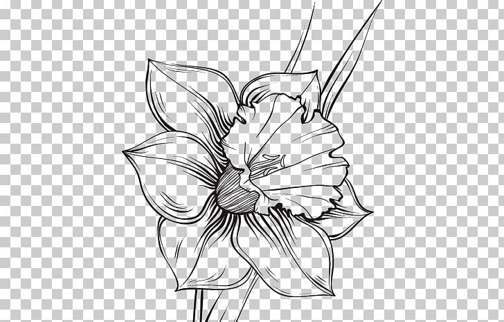 Echo And Narcissus Drawing Line Art PNG, Clipart, Artwork, Black And White, Coloring Book, Cut Flowers, Daffodil Free PNG Download