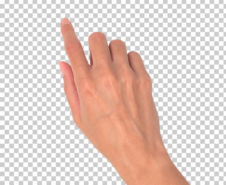 Gesture Hand PNG, Clipart, Arm, Brazil, Computer, Computer Icons, Dog Play Free PNG Download