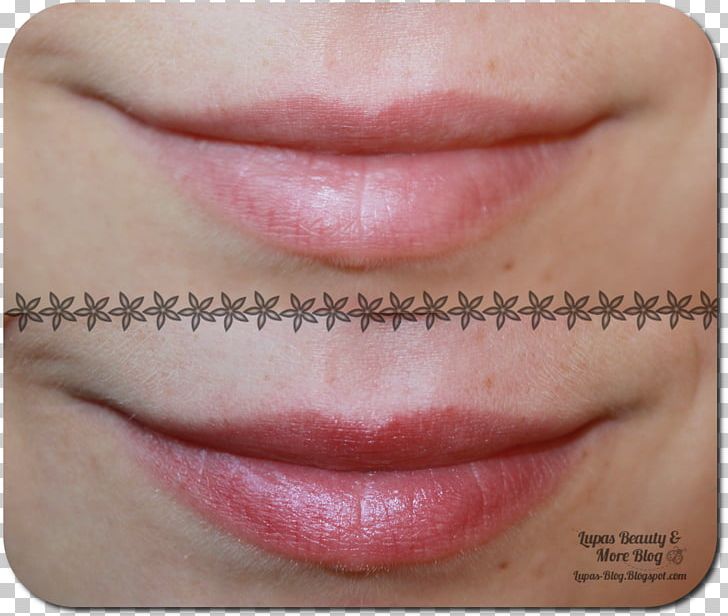 Lip Gloss Lipstick Blog Eyelash PNG, Clipart, August 22, Blog, Cheek, Chin, Closeup Free PNG Download