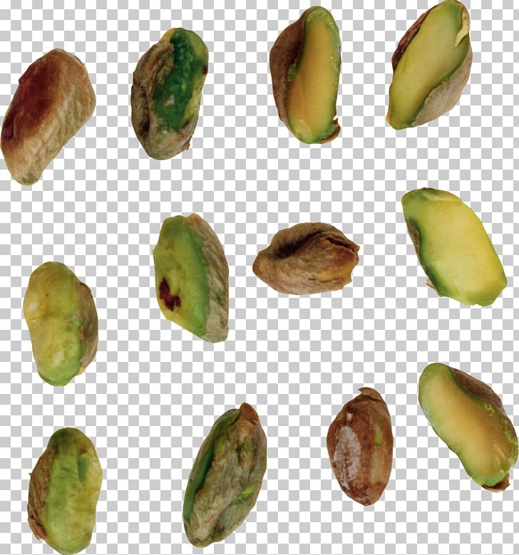 Pistachios PNG, Clipart, Pistachios Free PNG Download