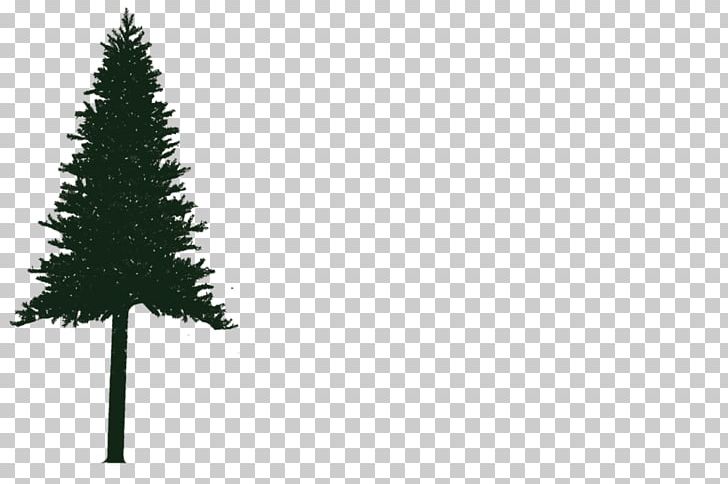 Spruce Christmas Tree Logo Pine Christmas Ornament PNG, Clipart, Airport, Bluff, Cabin, Case Study, Christmas Day Free PNG Download