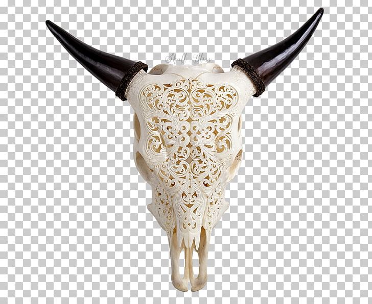 Texas Longhorn Skull English Longhorn Ox PNG, Clipart, Animal, Animal Skulls, Bali Cattle, Banteng, Bone Free PNG Download