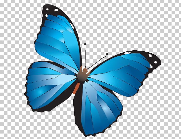 Turkey Butterfly Online Chat Kelebek Mobilya Sanayi Ve Ticaret AS Conversation PNG, Clipart, Brush Footed Butterfly, Butterflies, Butterfly, Caterpillar, Conversation Free PNG Download