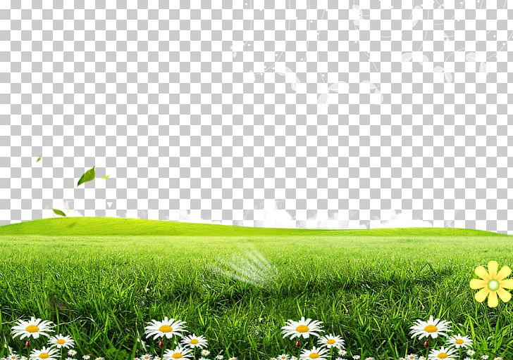 Green Lawn Poster PNG, Clipart, Computer Wallpaper, Download, Field, Flora, Flower Free PNG Download