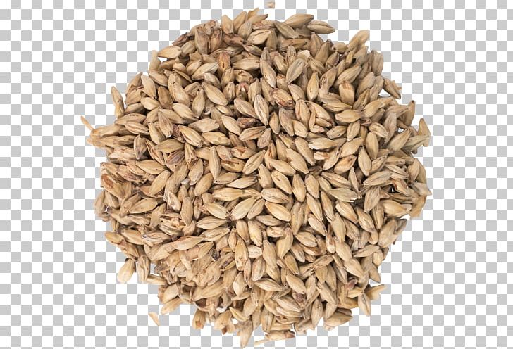 Oat Pale Ale Malt Beer PNG, Clipart, Avena, Beer, Beer Brewing Grains Malts, Cereal, Cereal Germ Free PNG Download