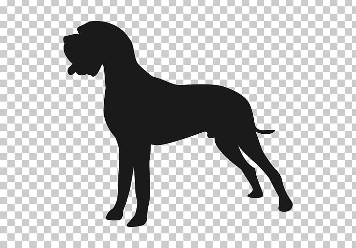 Pit Bull Great Dane Labrador Retriever Bull Terrier PNG, Clipart, Animals, Black, Black And White, Bull Terrier, Carnivoran Free PNG Download