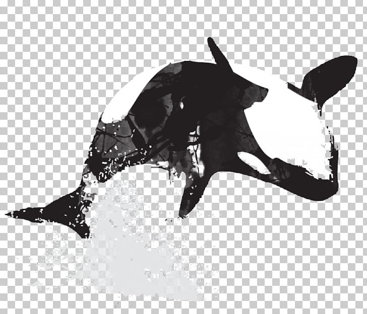 Killer Whale Cetacea Art Drawing PNG, Clipart, Art, Black, Black And White, Cetacea, Design Free PNG Download