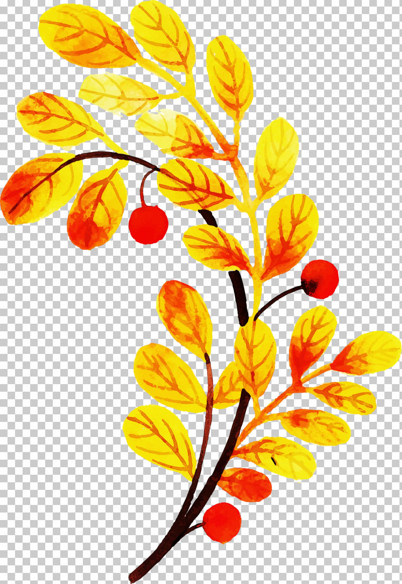 Autumn Leaf Colorful Leaf PNG, Clipart, Autumn Leaf, Colorful Leaf, Cut Flowers, Flora, Floral Design Free PNG Download