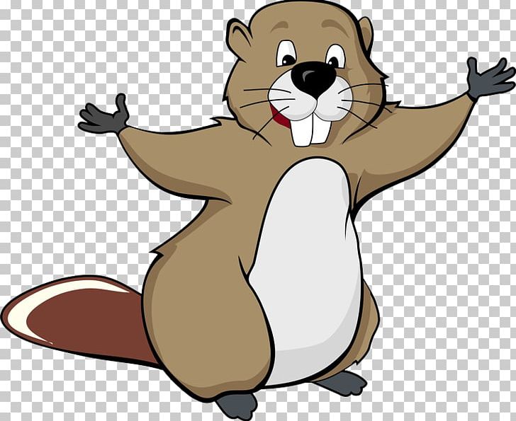 Drawing American Beaver PNG, Clipart, Bear, Beaver, Carnivoran, Cartoon, Cat Like Mammal Free PNG Download