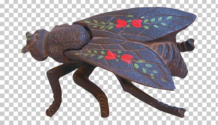 Insect True Bugs PNG, Clipart, Animals, Insect, Invertebrate, Membrane Winged Insect, Organism Free PNG Download