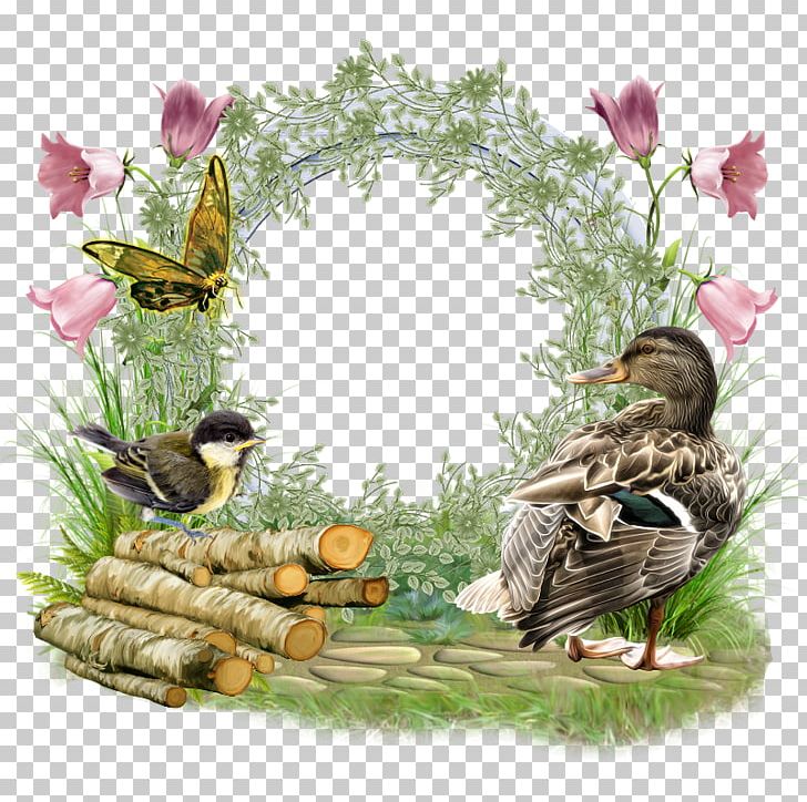 Water Bird Friendship Duck Frames PNG, Clipart, Affection, Animal, Animals, Beak, Bird Free PNG Download