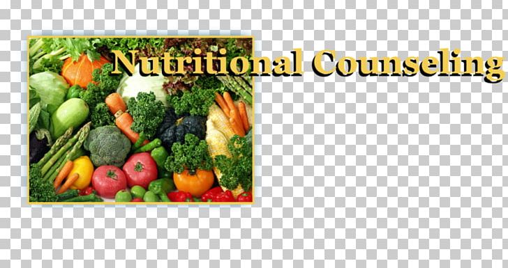 Health Diet Food Nutrient Business PNG, Clipart, Abdominal Obesity, Body, Business, Diet, Earth Free PNG Download