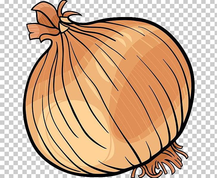 Onion Vegetable Black And White PNG, Clipart, Balloon Cartoon, Boy Cartoon, Can Stock Photo, Cartoon Alien, Cartoon Character Free PNG Download