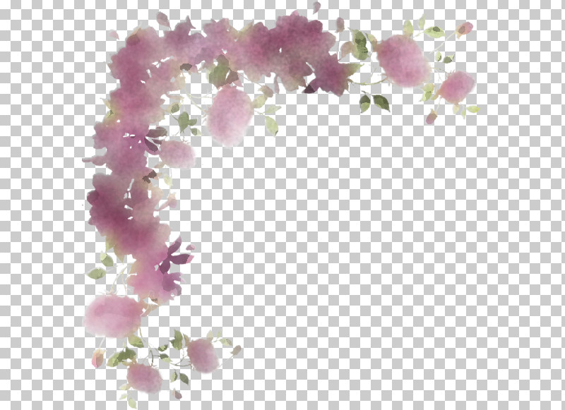 Flower Lilac Purple Violet Plant PNG, Clipart, Blossom, Branch, Cut Flowers, Dendrobium, Flower Free PNG Download