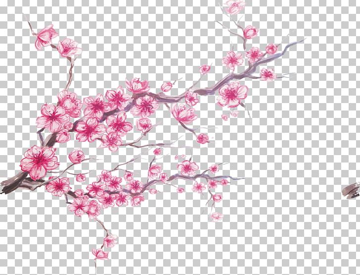 Cherry Blossom Ink PNG, Clipart, Blossoms, Blossoms Vector, Branch, Branches, Cherry Blossoms Free PNG Download