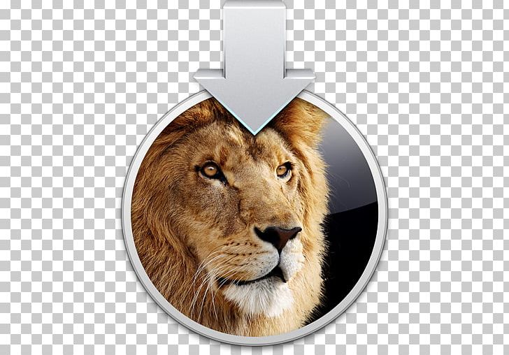 Install mac os x lion app download windows 10