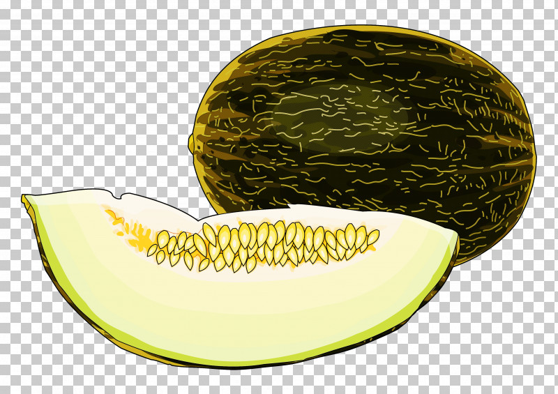Melon Galia Muskmelon Cantaloupe Fruit PNG, Clipart, Cantaloupe, Cucumber Gourd And Melon Family, Cucumis, Fruit, Galia Free PNG Download