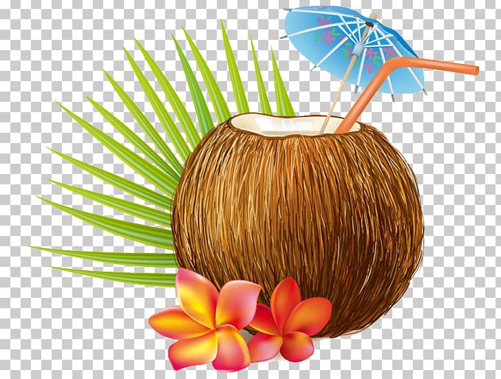 Cocktail Coconut Water Coconut Milk PNG, Clipart, Arecaceae, Cocktail, Coconut, Coconut Leaf, Coconut Leaves Free PNG Download