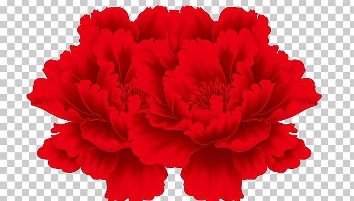 Flower Drawing Red PNG, Clipart, Bright, Carnation, Cut Flowers, Download, Drawing Free PNG Download