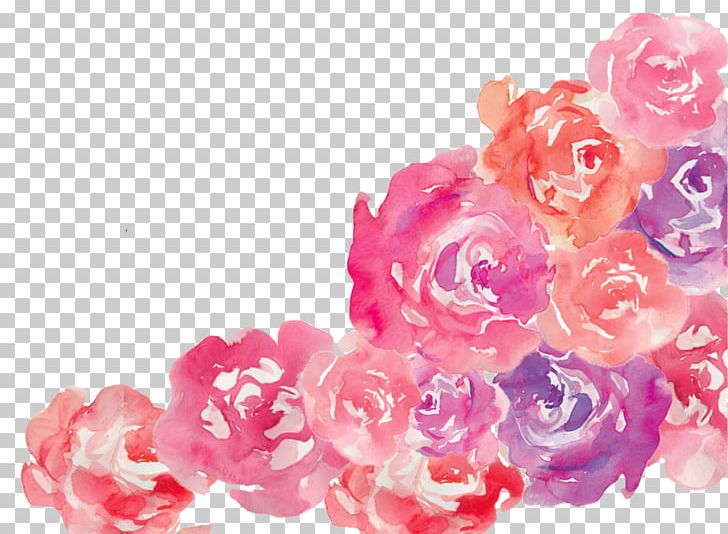 Flower Pink Garden Roses Floral Design PNG, Clipart, Blue, Color, Cut Flowers, Floral Design, Flower Free PNG Download