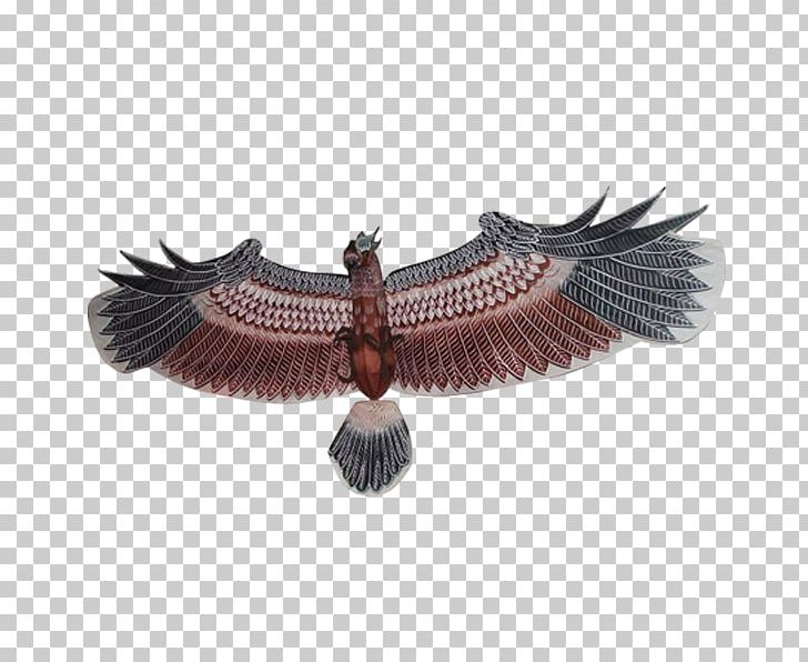 Kite Designer PNG, Clipart, Art, Bird Of Prey, China, China Flag, Chinese Free PNG Download
