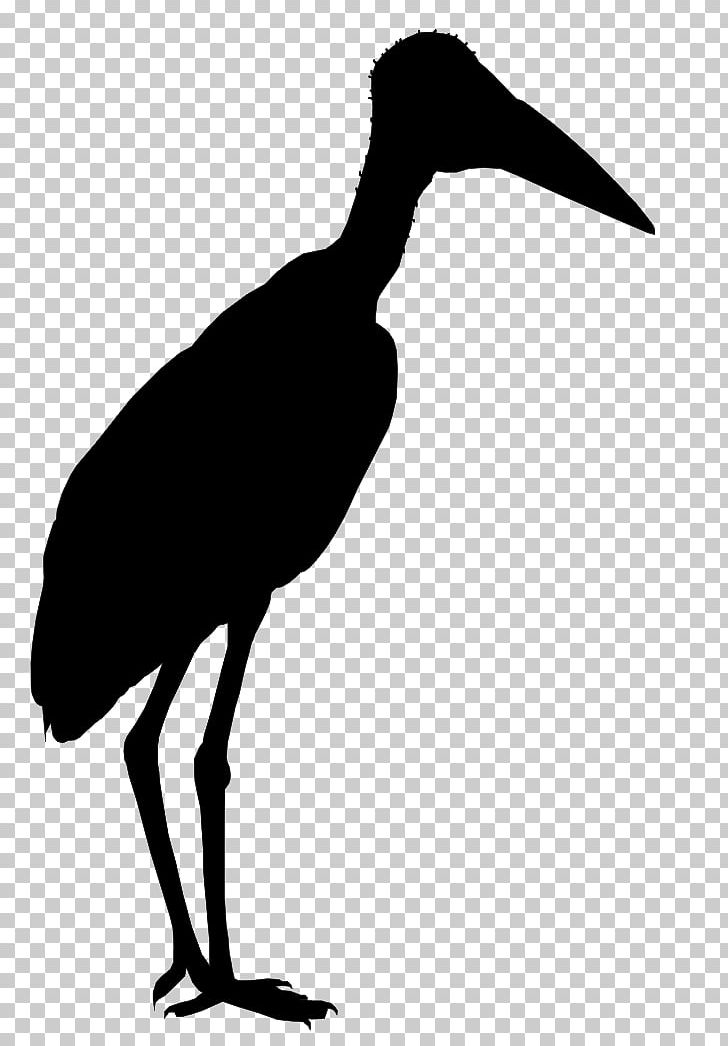 Marabou Stork Liang Bua Flores Greater Adjutant Bird PNG, Clipart, Beak, Bird, Black And White, Ciconiiformes, Crane Like Bird Free PNG Download