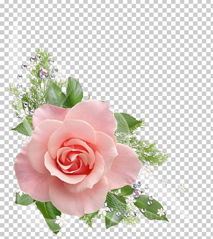 Rose Flower Pink PNG, Clipart, Black Rose, Clip, Color, Cut Flowers, Floral Design Free PNG Download
