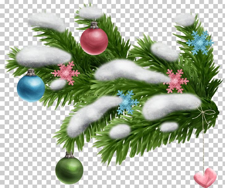 Spruce New Year Tree Branch Leaf PNG, Clipart, Birch, Boreal Ecosystem, Branch, Christmas, Christmas Decoration Free PNG Download