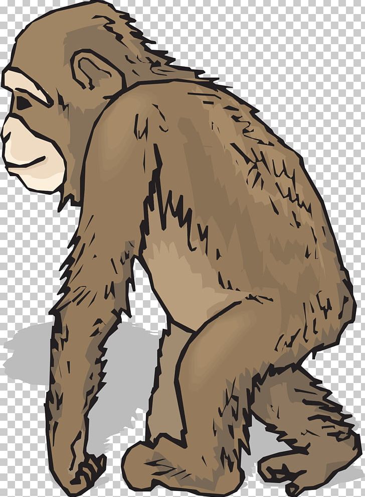 Baby Chimpanzee Free Content PNG, Clipart, Animals Word Cliparts, Baby Chimpanzee, Bear, Blog, Carnivoran Free PNG Download