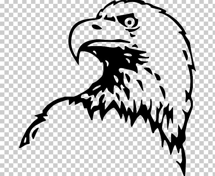 Bald Eagle Cross Peña Del Águila PNG, Clipart, Accipitriformes, Animals, Artwork, Bald Eagle, Beak Free PNG Download